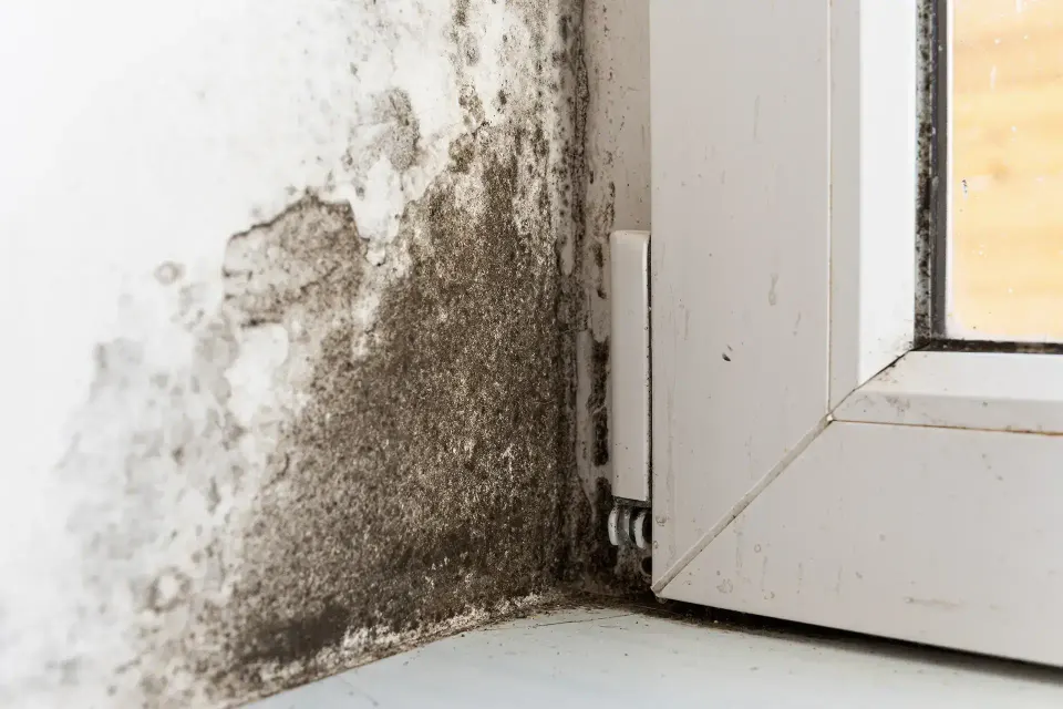 Technician extracting water from a damaged second-floor laundry room floor with heavy drying equipment nearby